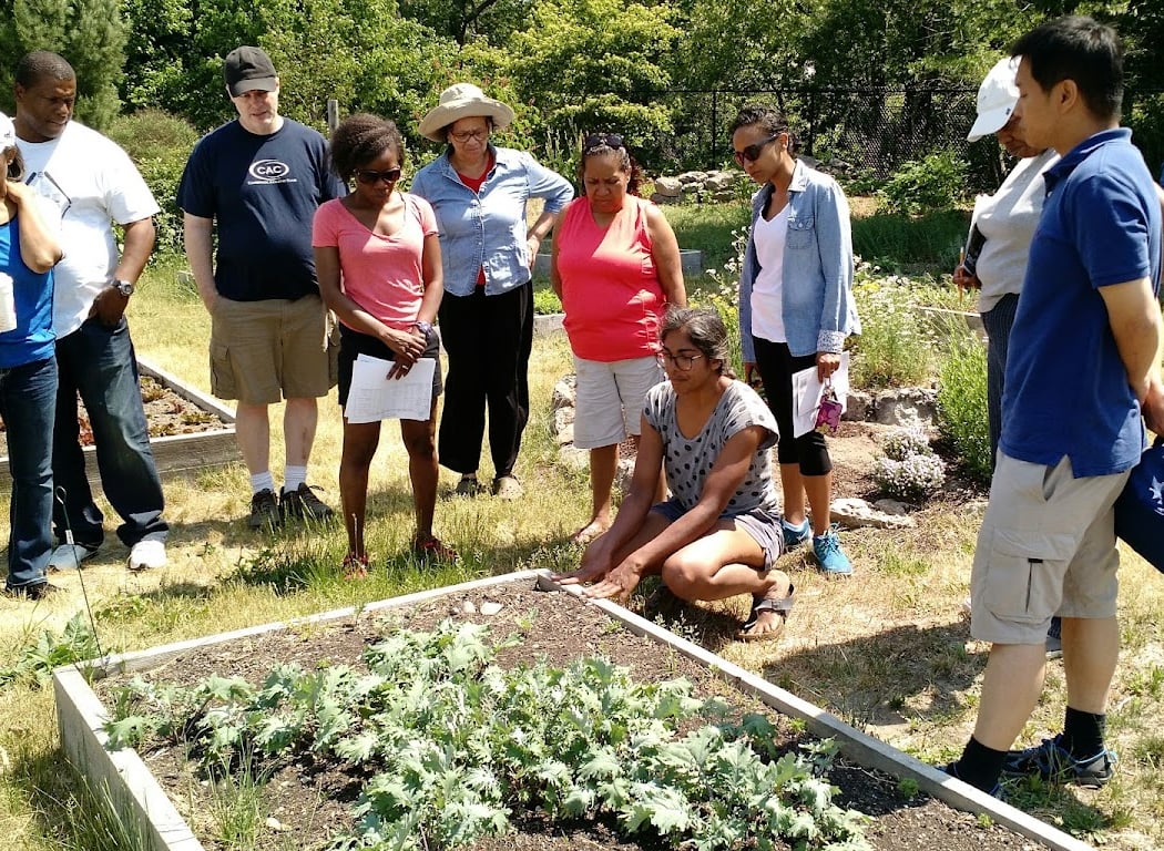 City Natives Workshop – Raspberry Harvest 1